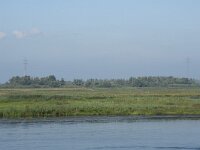 NL, Noord-Brabant, Drimmelen, Polder Moordplaat 9, Saxifraga-Willem van Kruijsbergen