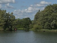 NL, Noord-Brabant, Drimmelen, Spaarbekken Petrusplaat 2, Saxifraga-Jan van der Straaten