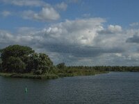 NL, Noord-Brabant, Drimmelen, Spijkerboor 16, Saxifraga-Jan van der Straaten