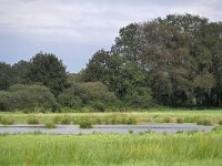 NL, Noord-Brabant, Eersel, Spekdonken 14, Saxifraga-Tom Heijnen