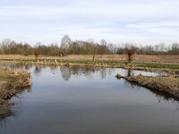 NL, Noord-Brabant, Eindhoven, Dommel in Genneper Parken 2, Saxifraga-Tom Heijnen