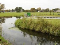 NL, Noord-Brabant, Eindhoven, Tongelreep 4, Saxifraga-Foto Fitis-Sytske Dijksen