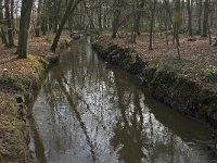 NL, Noord-Brabant, Heeze-Leende, Sterkselsche Aa, Kasteel Heeze 3, Saxifraga-Jan van der Straaten
