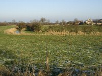 NL, Noord-Brabant, Land van Cuijk, Beerse Overlaat 19, Saxifraga-Jan van der Straaten