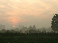 NL, Noord-Brabant, Land van Cuijk, Escharen 1, Saxifraga-Hans Boll