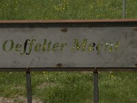 NL, Noord-Brabant, Land van Cuijk, Oeffelter Meent 23, Saxifraga-Jan van der Straaten