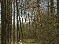 NL, Noord-Brabant, Meierijstad, De Prekers 1, Saxifraga-Jan van der Straaten