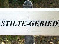 NL, Noord-Brabant, Oirschot, Baest 15, Saxifraga-Jan van der Straaten