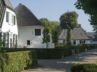 NL, Noord-Brabant, Oirschot, Baest 2, Saxifraga-Jan van der Straaten