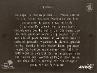 NL, Noord-Brabant, Oirschot, De Heilige Eik 4, Saxifraga-Jan van der Straaten