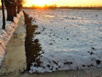 NL, Noord-Brabant, Oirschot, Mortelen 16, Saxifraga-Tom Heijnen