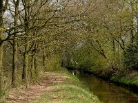 NL, Noord-Brabant, Oisterwijk, Logtsche Heide, Rosep 1, Saxifraga-Marijke Verhagen