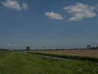 NL, Noord-Brabant, Oss, Groenendijk 4, Saxifraga-Jan van der Straaten