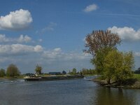 NL, Noord-Brabant, Oss, Hertogswetering 1, Saxifraga-Jan van der Straaten