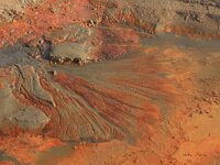 NL, Noord-Brabant, Oss, Keent 46, Saxifraga-Hans Boll