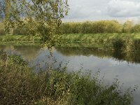 NL, Noord-Brabant, Sint-Michielsgestel, Dommel and Essche Stroom 2, Saxifraga-Jan van der Straaten