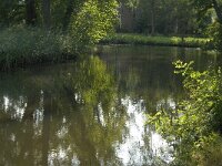 NL, Noord-Brabant, Sint-Michielsgestel, Zegenworp 4, Saxifraga-Jan van der Straaten