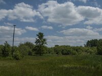 NL, Noord-Brabant, Tilburg, De Brand 9, Saxifraga-Jan van der Straaten