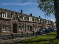 NL, Noord-Brabant, Tilburg, Diepenstraat 2, Saxifraga-Jan van der Straaten