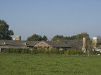 NL, Noord-Brabant, Valkenswaard, Borkel 1, Saxifraga-Jan van der Straaten