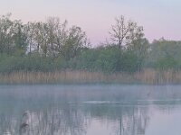 NL, Noord-Brabant, Valkenswaard, Visvijvers in Landgoed Valkenhorst 41, Saxifraga-Tom Heijnen