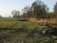 NL, Noord-Brabant, Veldhoven, De Hogt, Dommel 9, Saxifraga-Jan van der Straaten