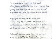 NL, Noord-Brabant, Zundert, Oude Buisse Heide 1, Saxifraga-Jan van der Straaten