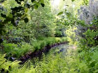 NL, Noord-Holland, Amstelveen, Heempark de Braak 2, Saxifraga-Foto Fitis-Sytske Dijksen