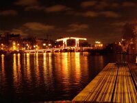 NL, Noord-Holland, Amsterdam 7, Saxifraga-Foto Fitis-Sytske Dijksen