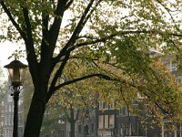 NL, Noord-Holland, Amsterdam, Amsterdam 15, Saxifraga-Hans Boll