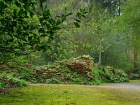 NL, Noord-Holland, Amsterdam, Floriadepark 1, Saxifraga-Foto Fitis-Sytske Dijksen