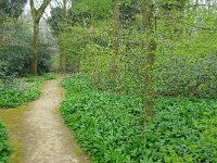 NL, Noord-Holland, Amsterdam, Floriadepark 3, Saxifraga-Foto Fitis-Sytske Dijksen