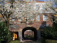 NL, Noord-Holland, Amsterdam, Zaandammerbuurt 3, Saxifraga-Foto Fitis-Sytske Dijksen