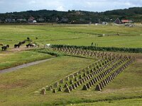 NL, Noord-Holland, Bergen, Camperduin, Atlantikwall 1, Saxifraga-Foto Fitis-Sytske Dijksen