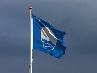 NL, Noord-Holland, Bergen, Camperduin, Blue Flag 1, Saxifraga-Foto Fitis-Sytske Dijksen