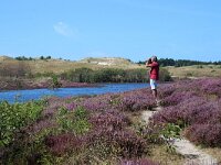 NL, Noord-Holland, Bergen, Schoorlse Duinen 12, Saxifraga-Foto Fitis-Sytske Dijksen
