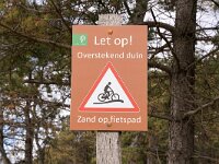 NL, Noord-Holland, Bergen, Schoorlse Duinen 16, Saxifraga-Foto Fitis-Sytske Dijksen