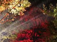 NL, Noord-Holland, Den Helder 3, Saxifraga-Foto Fitis-Sytske Dijksen