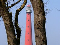 NL, Noord-Holland, Den Helder, Lange Jaap 1, Saxifraga-Foto Fitis-Sytske Dijksen