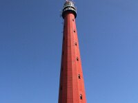 NL, Noord-Holland, Den Helder, Lange Jaap 2, Saxifraga-Foto Fitis-Sytske Dijksen