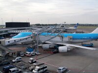 NL, Noord-Holland, Haarlemmermeer, Schiphol 2, Saxifraga-Foto Fitis-Sytske Dijksen