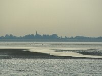 NL, Noord-Holland, Hollands Kroon, Balgzand 1, Saxifraga-Foto Fitis-Sytske Dijksen