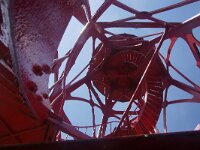 NL, Noord-Holland, Hollands Kroon, Wieringen 1, Saxifraga-Foto Fitis-Sytske Dijksen