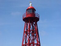 NL, Noord-Holland, Hollands Kroon, Wieringen 2, Saxifraga-Foto Fitis-Sytske Dijksen