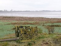 NL, Noord-Holland, Hollands Kroon, Wieringen wad 4, Saxifraga-Foto Fitis-Sytske Dijksen