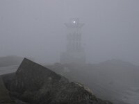 NL, Noord-Holland, IJmuiden, Zuidpier 2, Saxifraga-Foto Fitis-Sytske Dijksen