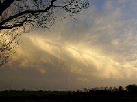 NL, Noord-Holland, Cloud bank, Texel 107, Saxifraga-Foto Fitis-Sytske Dijksen