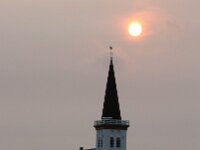 NL, Noord-Holland, Sahara sand, Texel 115, Saxifraga-Foto Fitis-Sytske Dijksen