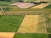 NL, Noord-Holland, Texel 105, Saxifraga-Foto Fitis-Sytske Dijksen