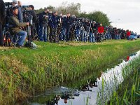 NL, Noord-Holland, Texel 56, Saxifraga-Foto Fitis-Sytske Dijksen